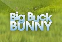 Big Buck Bunny slot